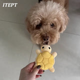 Mini Plush Turtle Squeaky Toy for Small Dogs