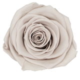 B Grade 4-5cm Preserved Roses Preserved Flower Fresh Natural Real Eternal Rose Immortal Rose Flowers Florist DIY Floral Material