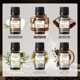 Premium Pure Essential Oil Combo Set for Aromatherapy & Air Purification