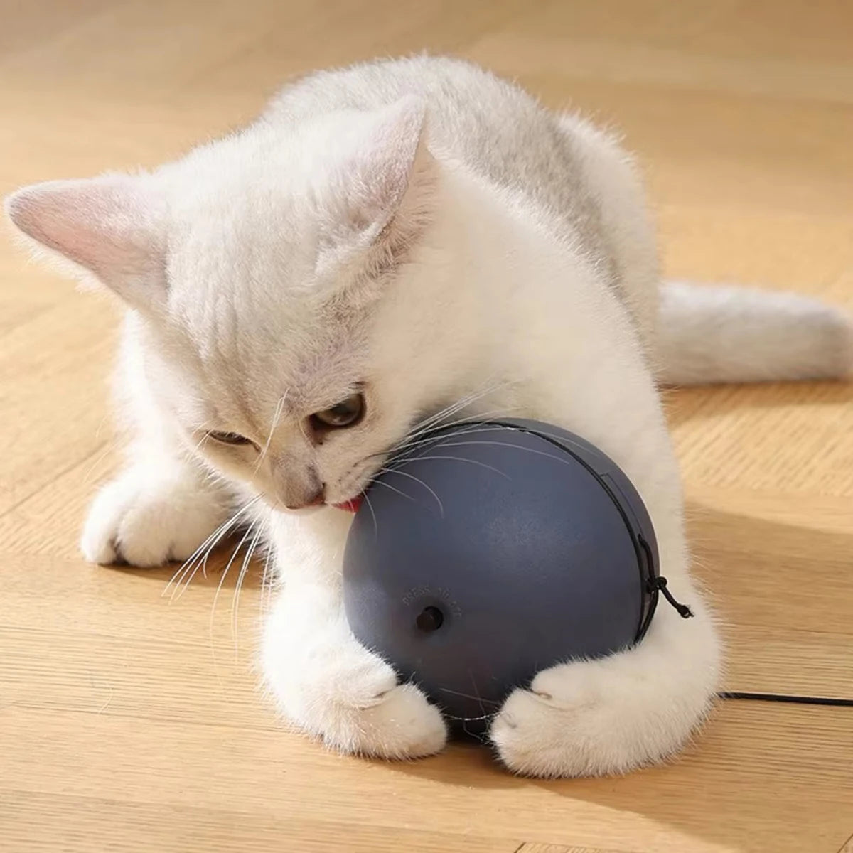 Automatic Obstacle-Avoidance Cat Toy – Interactive Smart Ball with 5 Replaceable Attachments