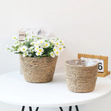 Handwoven Straw Planter Basket for Indoor and Outdoor Plants