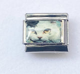 DIY Cartoon Cat Italian Charm Links for Stainless Steel Bracelets – Trendy Modular Jewelry Accessories