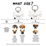 Custom Engraved Stainless Steel Pet ID Tag – Personalized Dog & Cat Nameplate