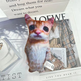 El Gato Cat Plush Toy – Soft, Stuffed Animal for TV & Movie Fans