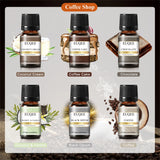 Premium Pure Essential Oil Combo Set for Aromatherapy & Air Purification