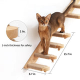 Wall-Mounted Cat Tree with Scratching Post & Hammock - Space-Saving Climbing Furniture