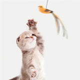 Interactive Feather Cat Toy with Suction Cup and Bell