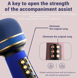 Wireless Bluetooth Karaoke Microphone with FM Radio & Sound Effects