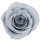 B Grade 4-5cm Preserved Roses Preserved Flower Fresh Natural Real Eternal Rose Immortal Rose Flowers Florist DIY Floral Material