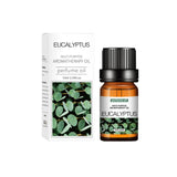 10ml Aromatherapy Oil for Diffusers, Humidifiers & Burners