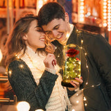 Eternal Silk Rose in Glass Dome with LED Light – Romantic Valentine’s Day Gift & Home Decor