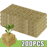 Rockwool Seed Starter Cubes for Hydroponics – Soilless Germination Plugs for Rapid Root Growth