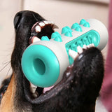 TPR Dental Chew Stick for Dogs – Teeth Cleaning Chew Toy for Puppies & Adult Dogs