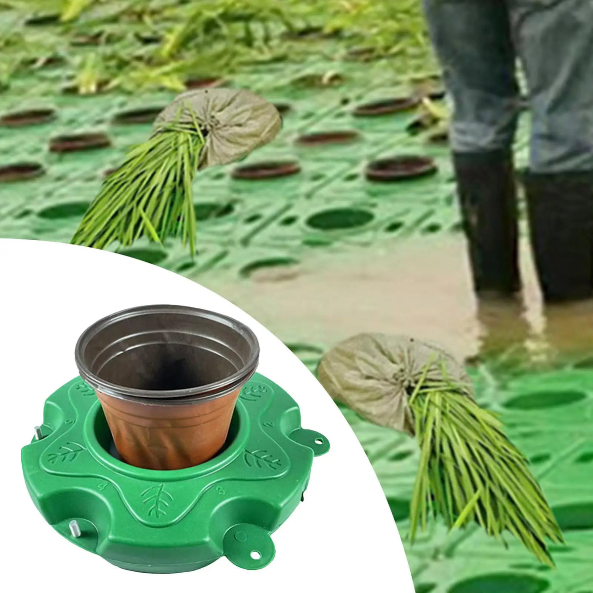 Floating Pond Planter Basket for Hydroponic Aquatic Gardens