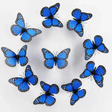 3D Monarch Butterfly Wall Stickers – Realistic PVC Window & Wall Decor for Home, Party & Gifts