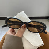 Women’s Retro Oval Sunglasses – Stylish UV400 Fashion Shades for Casual & Outdoor Wear