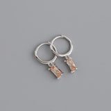 Crystal Stainless Steel Hoop Earrings – Sparkling Trendy Style for Women