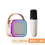 Professional Wireless Bluetooth Karaoke Megaphone Speaker