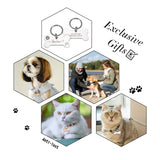 Custom Engraved Stainless Steel Pet ID Tag – Personalized Dog & Cat Nameplate