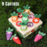 Early Learning Toy for Toddlers with Animal, Nature & Sports Themes