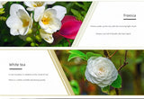 Aceites esenciales de 10 ml para difusores y humidificadores: set de aromaterapia con lavanda, rosa, eucalipto y más