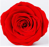 B Grade 4-5cm Preserved Roses Preserved Flower Fresh Natural Real Eternal Rose Immortal Rose Flowers Florist DIY Floral Material