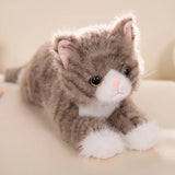Realistic Cat Plush Toy - Ultra-Soft Stuffed Kitten in 5 Colors (40/50cm)