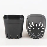 50-Pack Square Seedling Pots - Reusable Deep Nursery Planters for Indoor/Outdoor Gardening