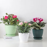 Modern Resin Flower Pot for Indoor Plants and Desk Décor