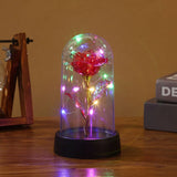 Premium Decorative Silk Rose in Glass Dome – Eternal Flower Gift for Home & Romantic Occasions