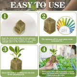 Rockwool Hydroponic Grow Cubes - Seed Starter Plugs for Soilless Gardening