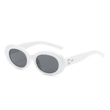 Y2K Oval Steampunk Sunglasses – Retro Vintage Shades for Men & Women