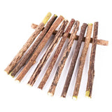 Natural Wood Chew Sticks for Cats – Organic Polygonum Silvervine Cat Toy