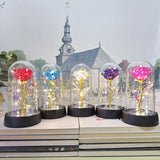 Eternal Galaxy Rose in Glass Dome - Colorful LED Flower Gift for Valentine's Day
