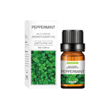 10ml Aromatherapy Oil for Diffusers, Humidifiers & Burners
