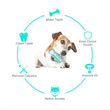 TPR Dental Chew Stick for Dogs – Teeth Cleaning Chew Toy for Puppies & Adult Dogs