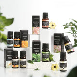 Aceites esenciales de 10 ml para difusores y humidificadores: set de aromaterapia con lavanda, rosa, eucalipto y más