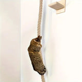 Wall-Mounted Wooden Cat Shelf – Space-Saving Cat Climbing Furniture