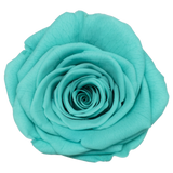 B Grade 4-5cm Preserved Roses Preserved Flower Fresh Natural Real Eternal Rose Immortal Rose Flowers Florist DIY Floral Material