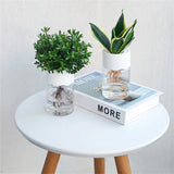 Self-Watering Plant Pot - Modern Desktop Flower Planter for Home & Office | Durable, Leak-Proof, and Stylish Green Plant Container