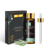 Pure Aromatherapy Essential Oil for Diffusers and Natural Wellness