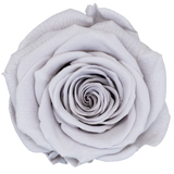 B Grade 4-5cm Preserved Roses Preserved Flower Fresh Natural Real Eternal Rose Immortal Rose Flowers Florist DIY Floral Material