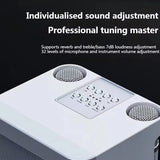 Portable Bluetooth Karaoke Speaker with Dual Microphones and 3D Surround Sound