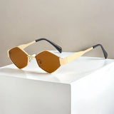 Luxury Hexagon Sunglasses – Trendy Polygon Shades for Men & Women