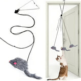 Interactive Hanging Cat Toy with Door Frame Hook – Stimulating Play for Indoor Cats