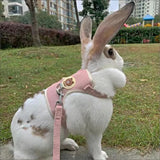 Adjustable Rabbit Harness and Leash Set – Soft Padded Vest for Safe Outdoor Adventures