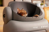 Caja de arena para gatos inteligente y automática con autolimpieza: grande, silenciosa, con control de olores y controlada por aplicación