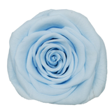 B Grade 4-5cm Preserved Roses Preserved Flower Fresh Natural Real Eternal Rose Immortal Rose Flowers Florist DIY Floral Material