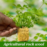 Rockwool Hydroponic Grow Cubes - Seed Starter Plugs for Soilless Gardening