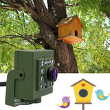 Cámara para observación de aves con WiFi ecológica, HD 1920P, visión nocturna y detección de movimiento para observar aves
